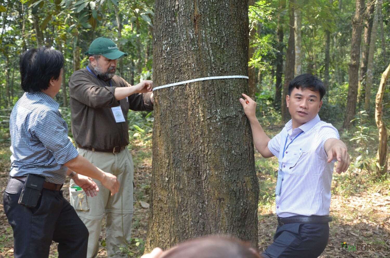 BioEcoN team measuring tree